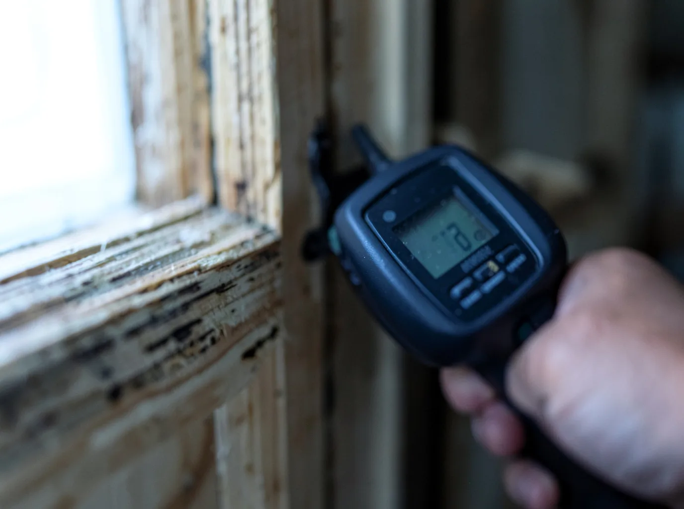 Moisture Inspection And Documentation in Cutler, IL